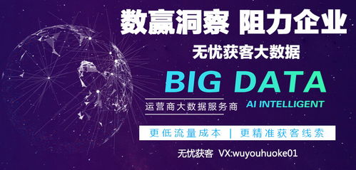 互聯(lián)網數(shù)據(jù)服務 數(shù)據(jù)整合與API的核心作用